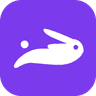Bunny Travel